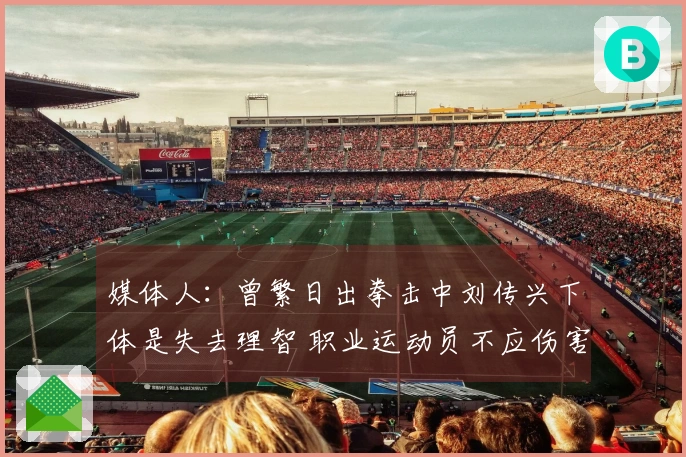 媒体人：曾繁日出拳击中刘传兴下体是失去理智 职业运动员不应伤害同业生计